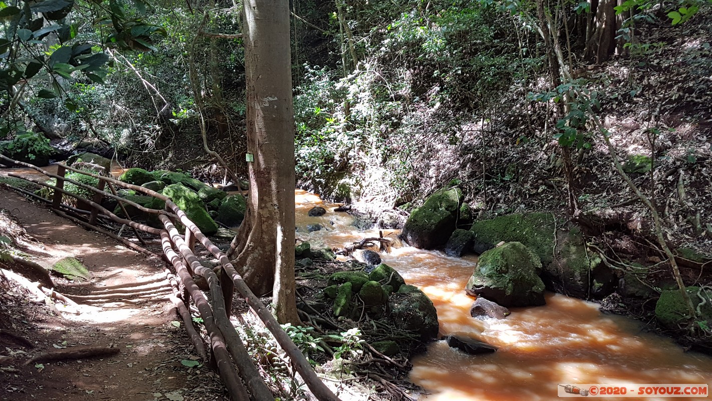 Nairobi - Karura Forest
Mots-clés: KEN Kenya Nairobi Area New Runda Nairobi Karura Forest Riviere