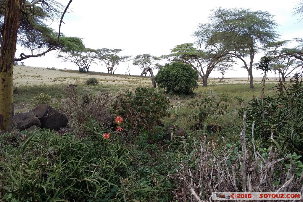 Lake Naivasha
Mots-clés: Lake Naivasha
