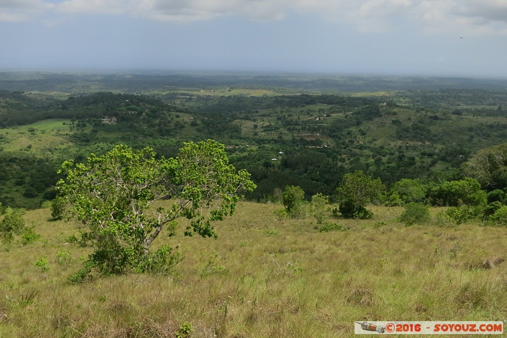 Shimba Hills National Reserve
Mots-clés: KEN Kenya Kwale Msurwa Shimba Hills National Reserve