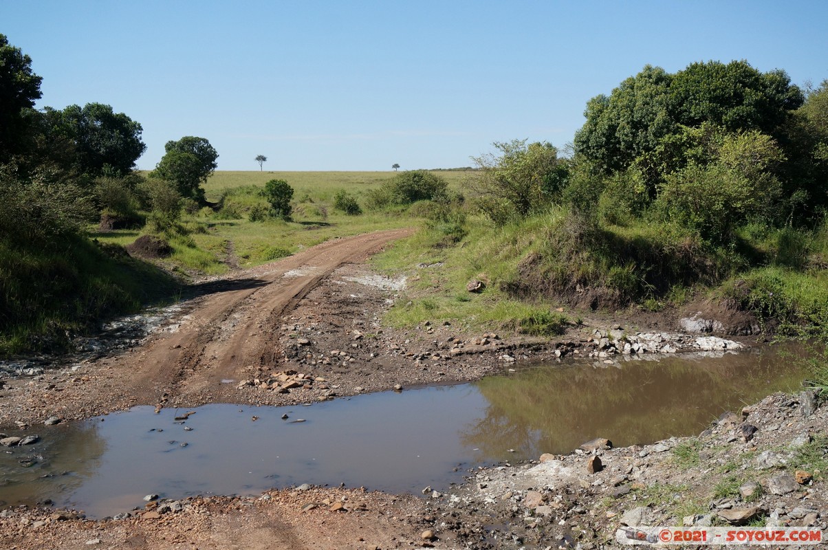 Masai Mara
Mots-clés: geo:lat=-1.47426544 geo:lon=35.02870173 geotagged KEN Kenya Narok Ol Kiombo Masai Mara paysage Riviere