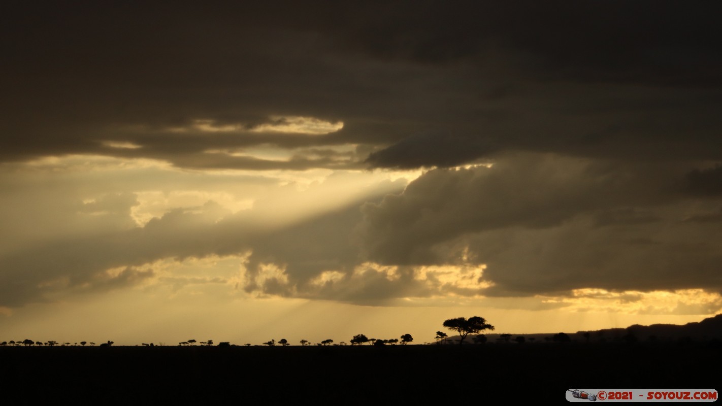 Masai Mara - Sunset on the savannah
Mots-clés: geo:lat=-1.37875221 geo:lon=34.99144433 geotagged KEN Kenya Narok Oloolaimutia Masai Mara Lumiere paysage sunset Nuages