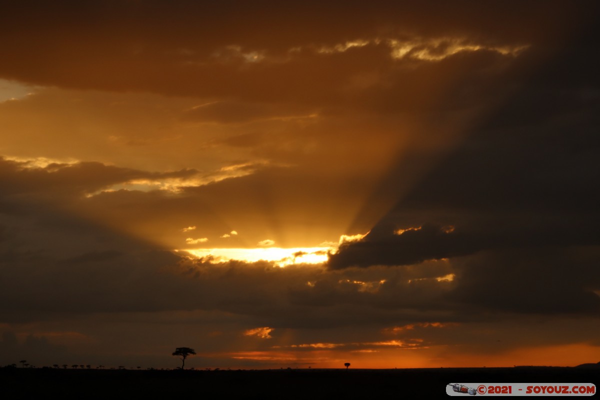 Masai Mara - Sunset on the savannah
Mots-clés: geo:lat=-1.40288257 geo:lon=34.98902279 geotagged KEN Kenya Narok Oloolaimutia Masai Mara Lumiere paysage sunset Nuages