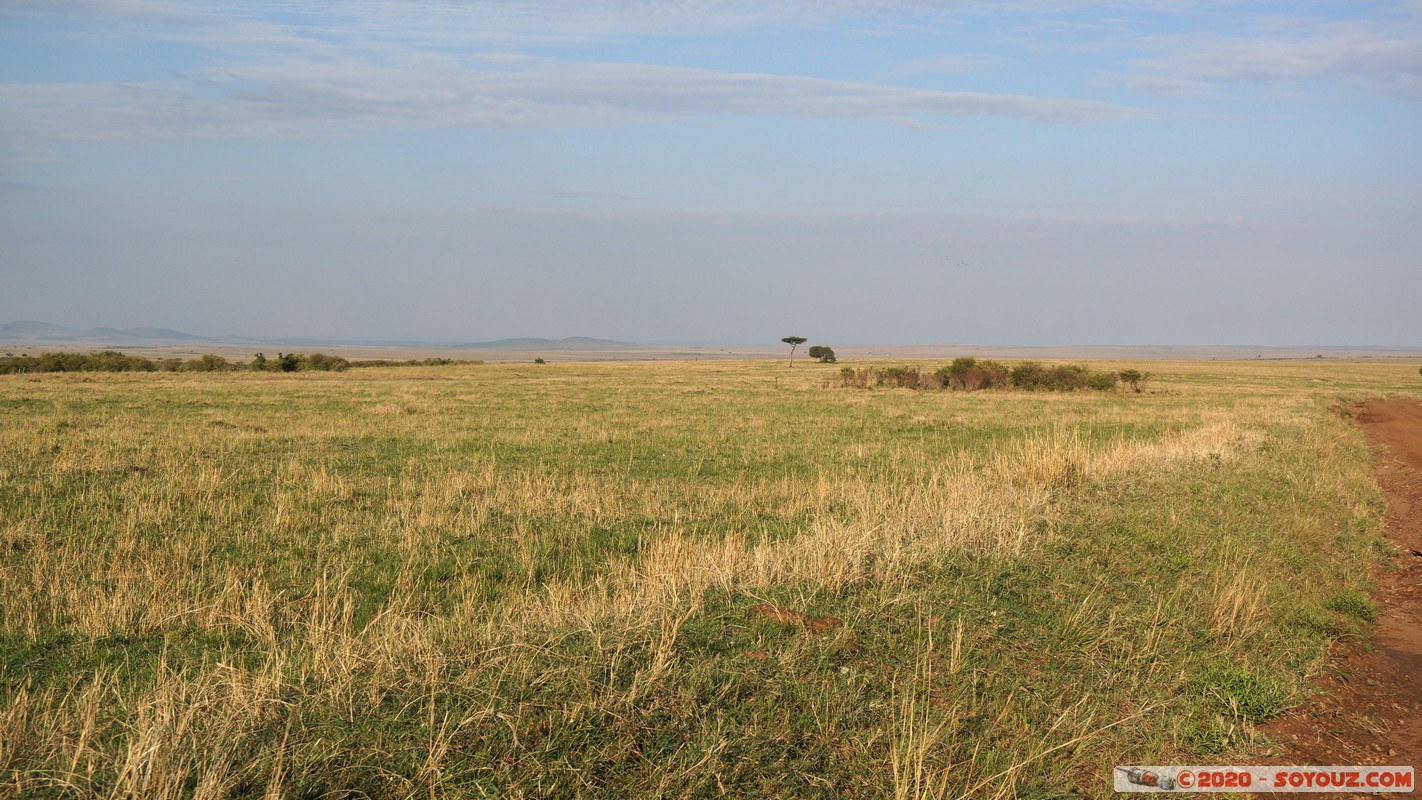Masai Mara
Mots-clés: geo:lat=-1.52821788 geo:lon=35.29975939 geotagged Keekorok KEN Kenya Narok Masai Mara paysage