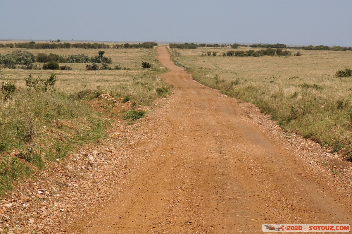 Masai Mara - On the road
Mots-clés: geo:lat=-1.58298542 geo:lon=35.24229505 geotagged Keekorok KEN Kenya Narok Masai Mara Route