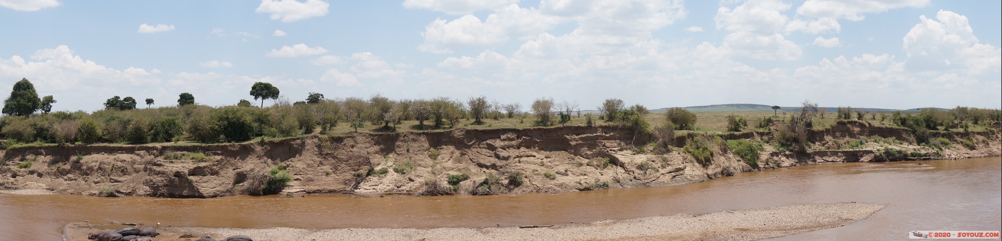 Masai Mara - Hippopotamus
Mots-clés: geo:lat=-1.50196743 geo:lon=35.02617817 geotagged KEN Kenya Narok Ol Kiombo Masai Mara animals hippopotame Mara river Riviere panorama