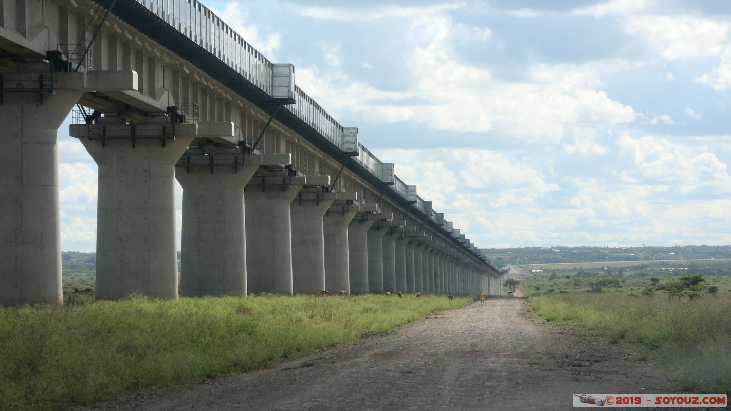 Nairobi National Park - Train's bridge
Mots-clés: KEN Kenya Nairobi Area Villa Franca Nairobi National Park