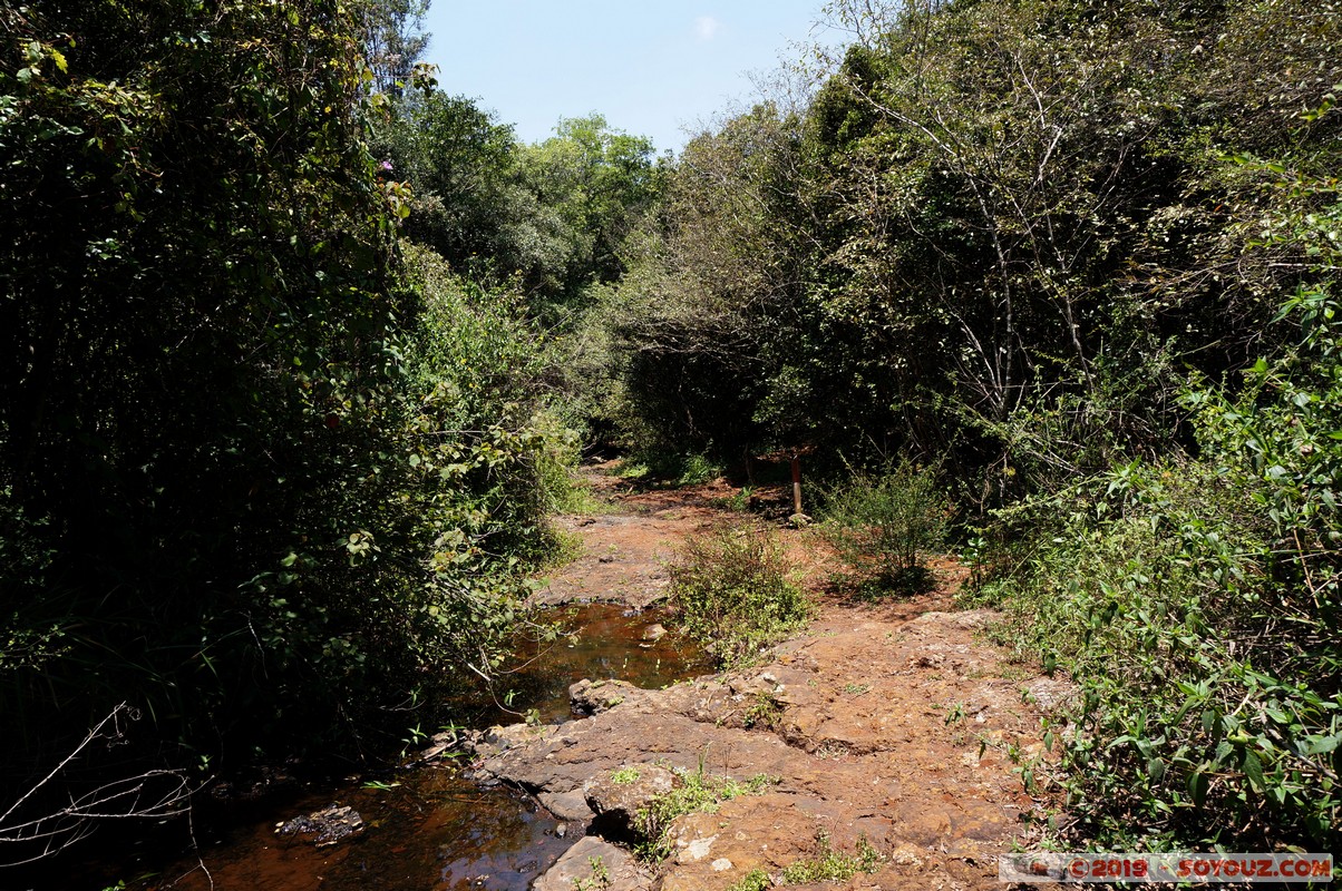 Nairobi - Giraffe Centre
Mots-clés: KEN Kenya Nairobi Area Giraffe Centre Riviere