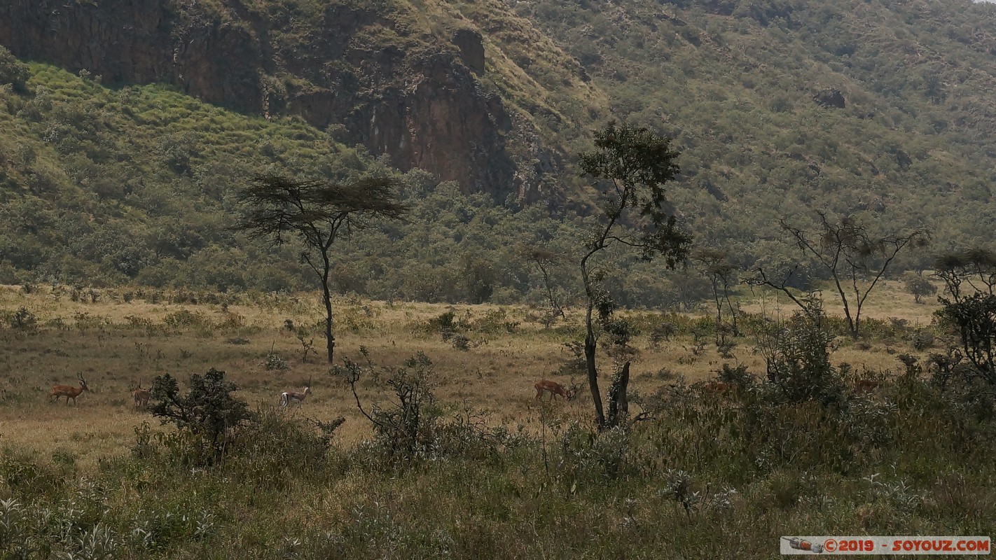 Hell's Gate
Mots-clés: KEN Kenya Lolonito Narok Hell's Gate