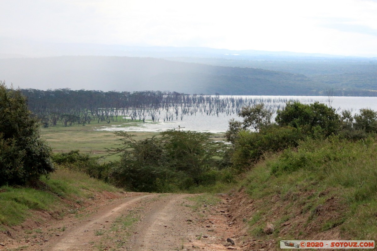 Lake Nakuru National Park
Mots-clés: KEN Kenya Nakuru Nderit Lake Nakuru National Park Lac