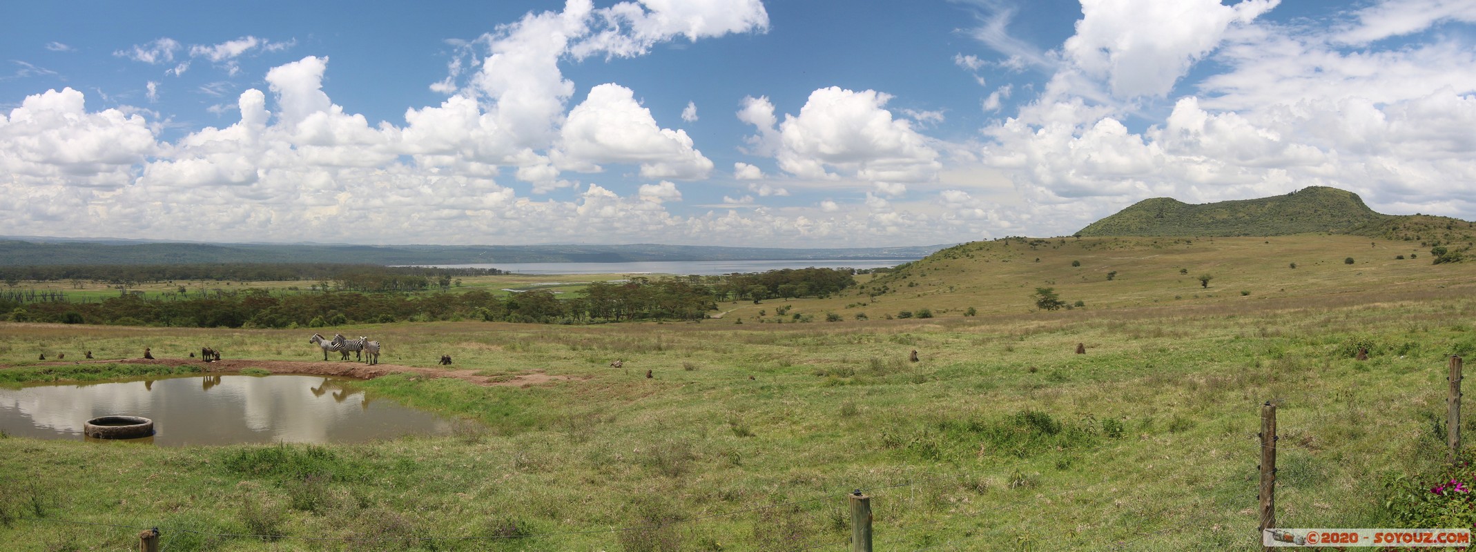 Lake Nakuru National Park - Panorama
Mots-clés: KEN Kenya Nakuru Nderit Lake Nakuru National Park Lake Nakuru Lodge panorama