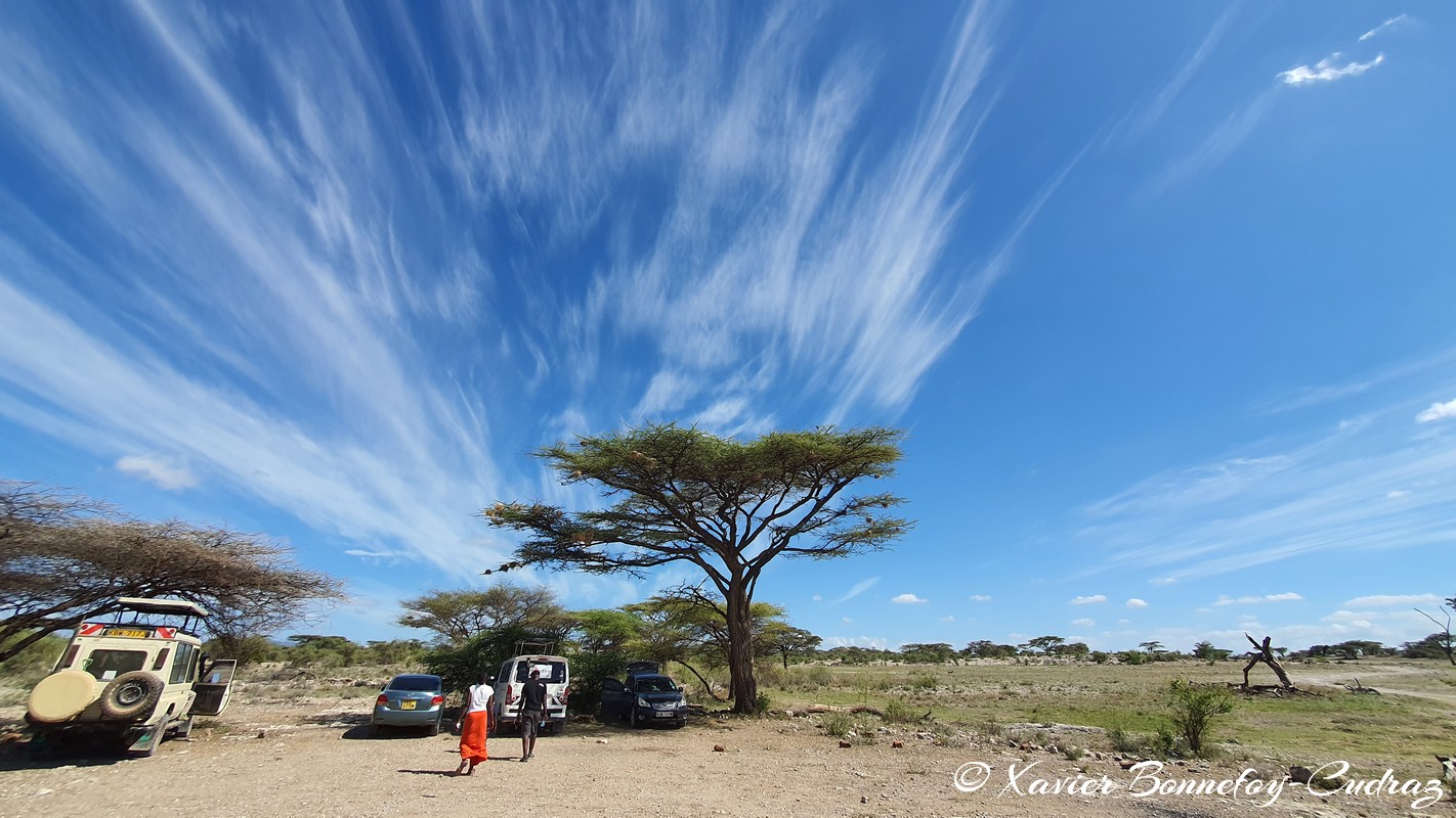 Buffalo Springs - Cirrus sky
Mots-clés: geo:lat=0.60673651 geo:lon=37.64835919 geotagged KEN Kenya Samburu Isiolo Buffalo Springs National Reserve Nuages Cirrus