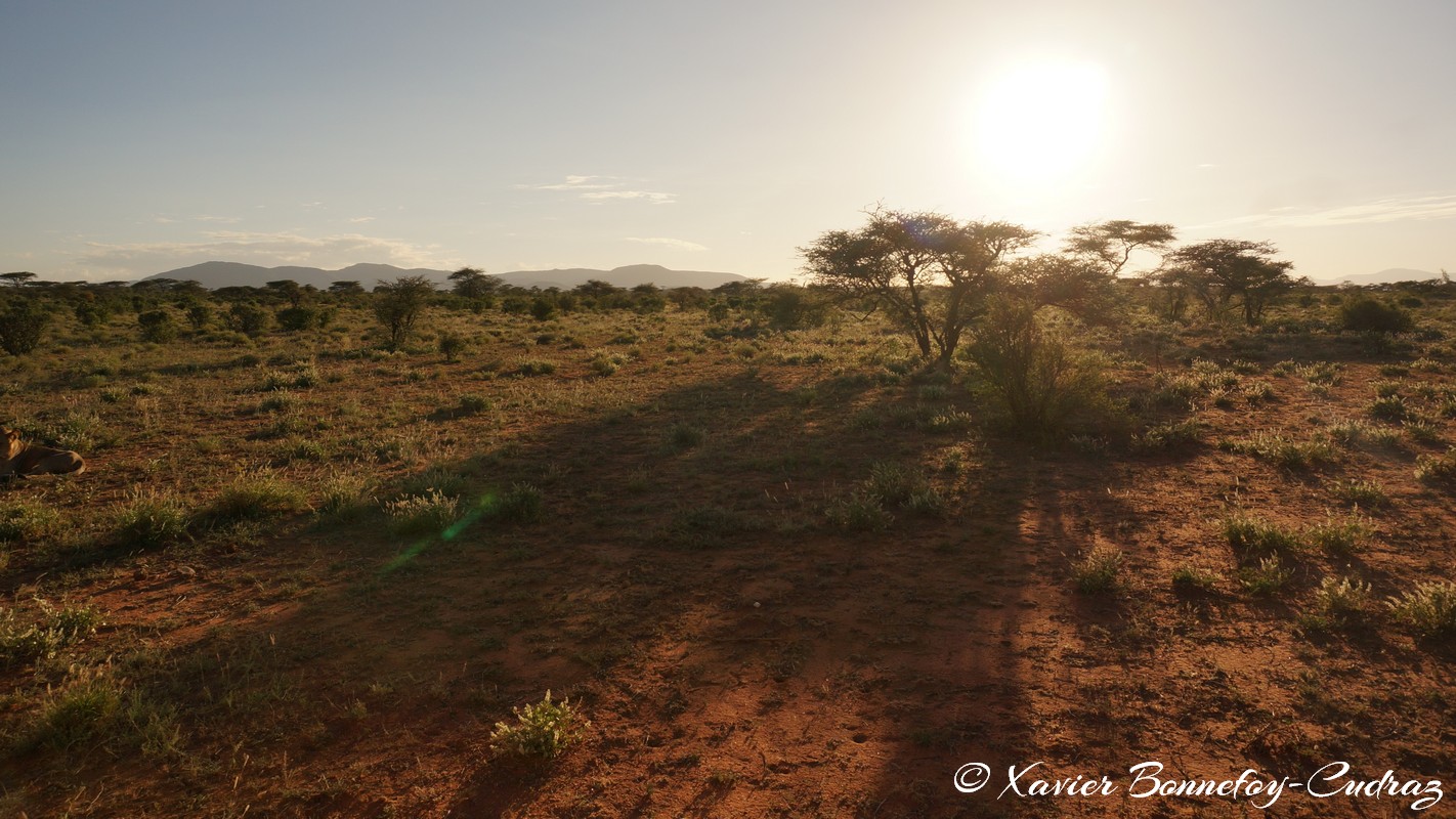 Buffalo Springs - Sunset
Mots-clés: geo:lat=0.55667800 geo:lon=37.57351000 geotagged KEN Kenya Samburu Umoja Isiolo Buffalo Springs National Reserve sunset