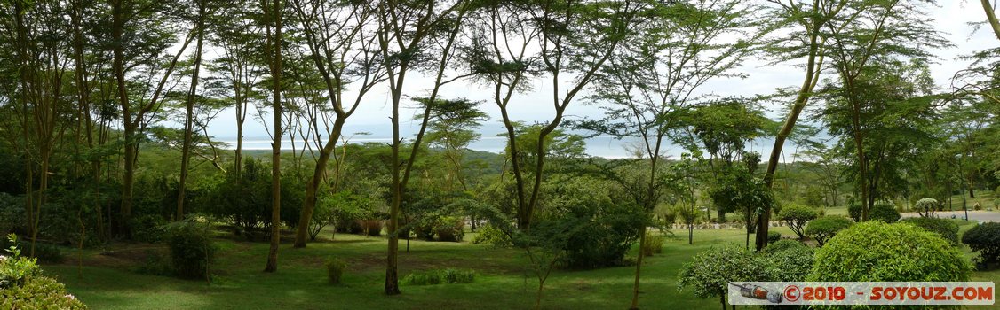 Lake Nakuru National Park - view from Sarova Lion Hill Game Lodge
Mots-clés: panorama Arbres