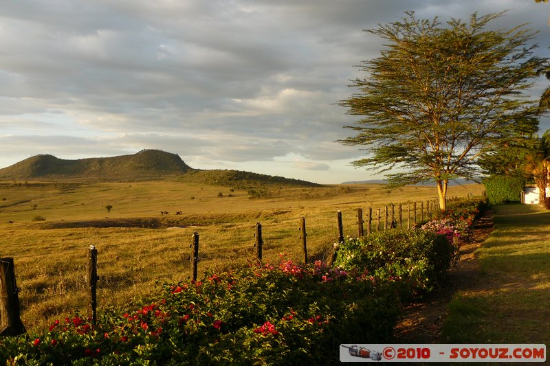 Lake Nakuru National Park - View from Lake Nakuru Lodge
Mots-clés: sunset