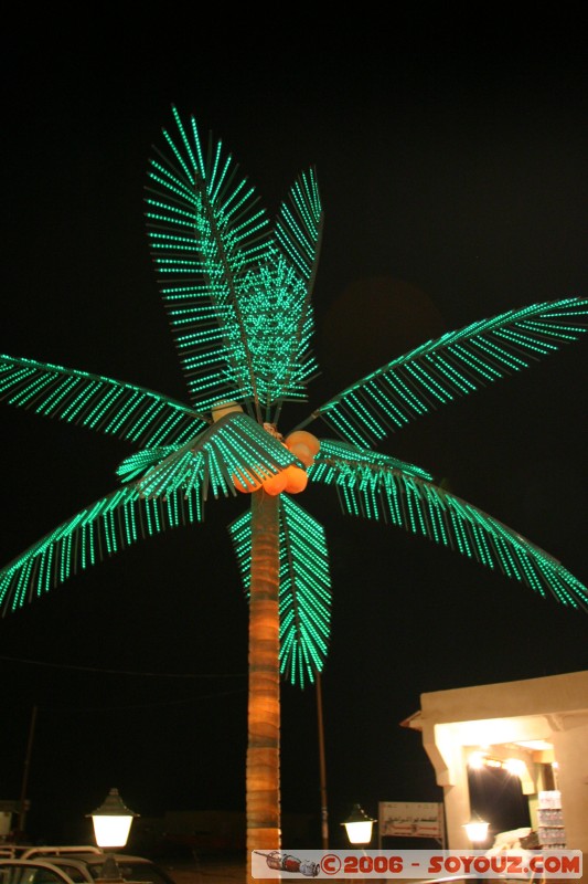 Electric Palm Tree
