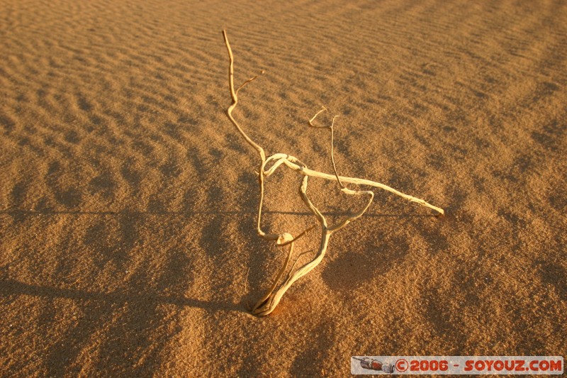 Art naturel
Mots-clés: sunset couch� de soleil desert