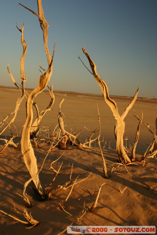 Art naturel
Mots-clés: sunset couch� de soleil desert