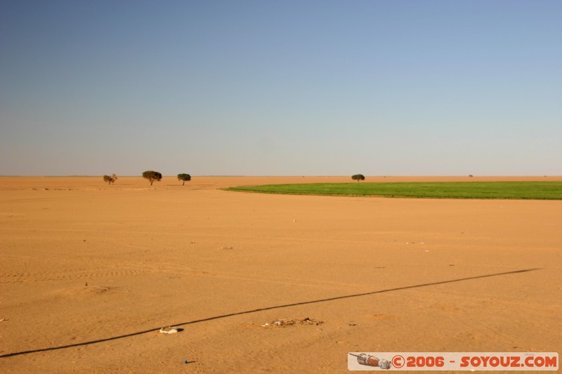 Champs de céreales
L'utilisation d'un systême d'arrosage rotatif fait des champs circulaires.

