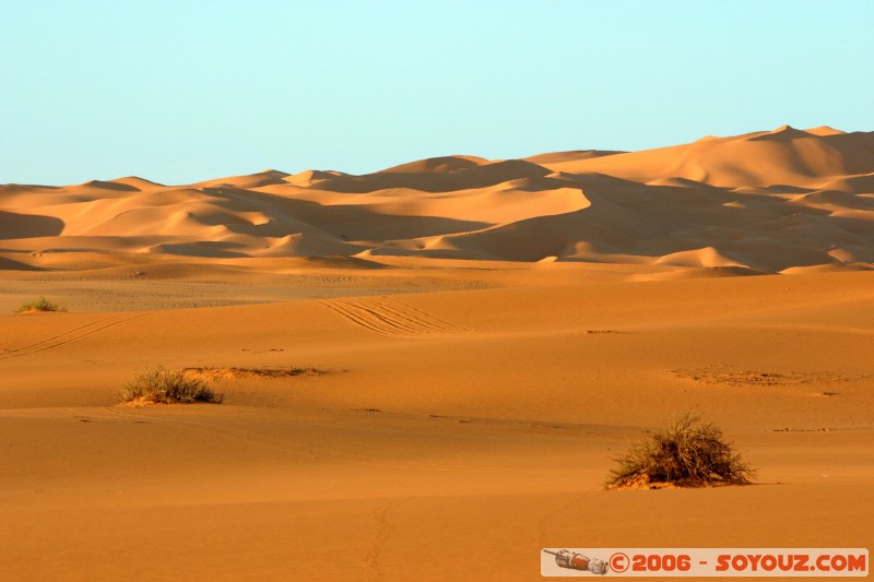 Mots-clés: desert dune sand sable