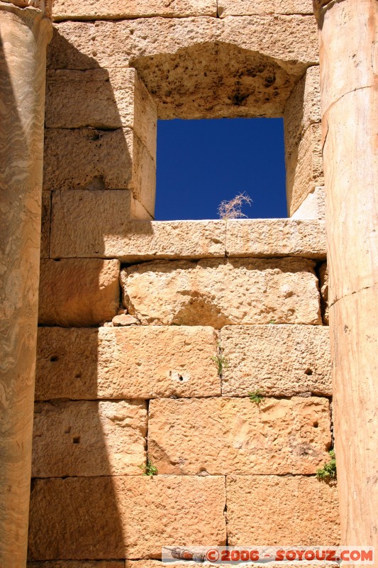 Basilique Severane
D�tails
