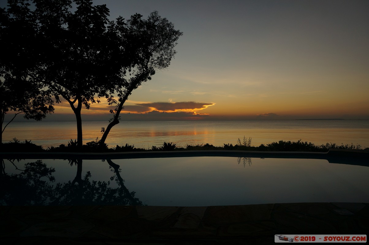 Zanzibar - Dimbani - Sunset
Mots-clés: Dimbani Tanzanie TZA Zanzibar Central/South Zanzibar Mer Piscine Karamba Resort sunset Lumiere Arbres