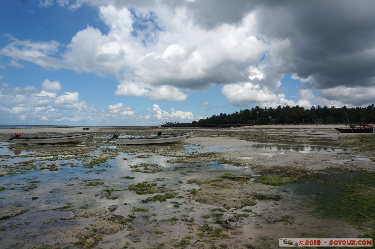 Zanzibar - Dimbani beach
Mots-clés: Dimbani Tanzanie TZA Zanzibar Central/South Zanzibar Mer plage