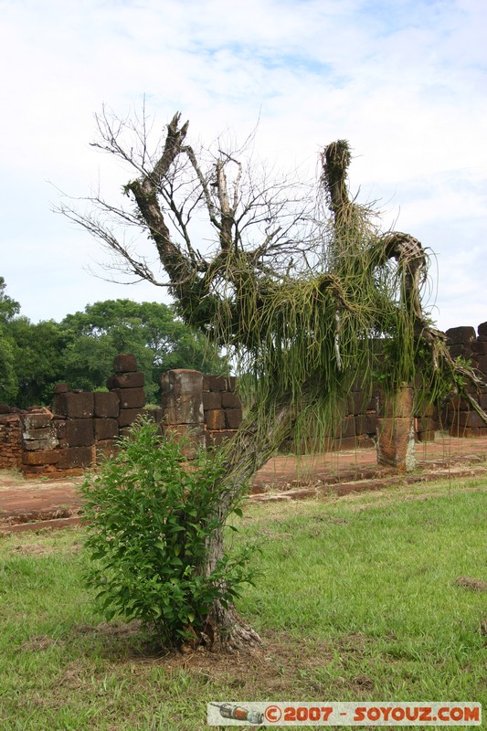 San Ignacio - Ruines Mission San Ignacio
