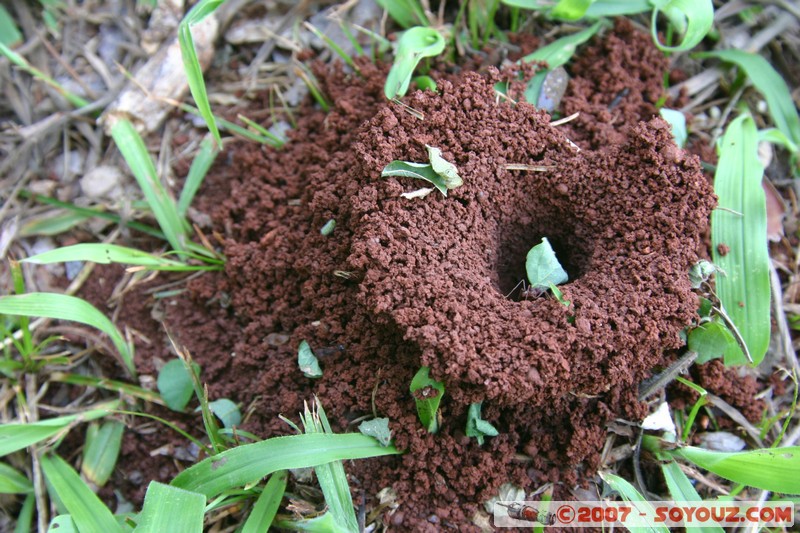 Ruines Mission Santa Ana
