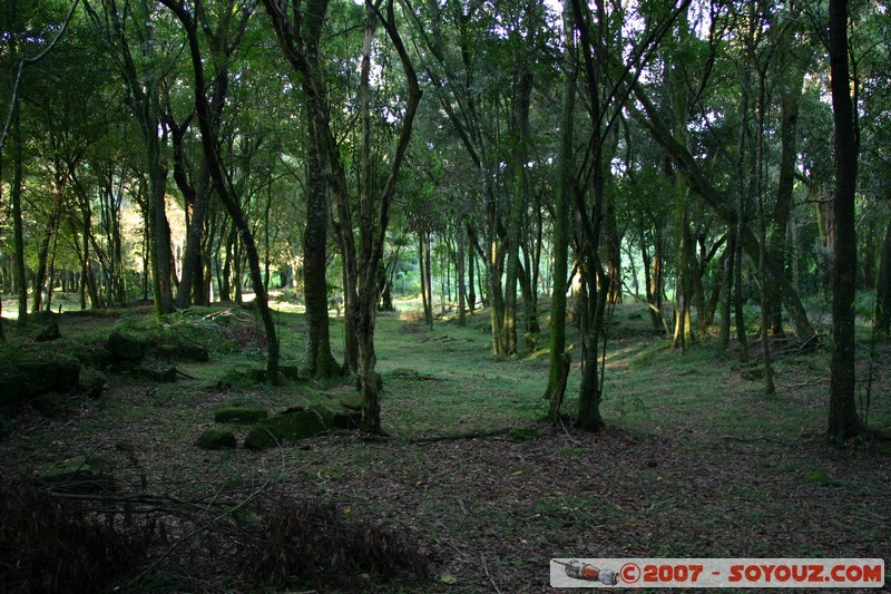 Ruines Mission Santa Ana - Viviendas
