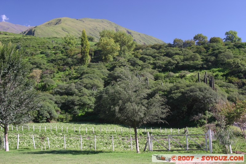 Ruta 33 - Cuesta del Obispo
