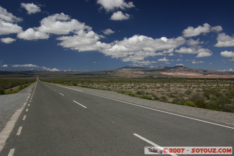 Ruta 33 - Parque National Los Cardones
