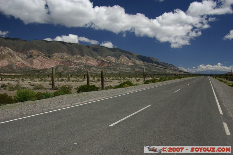 Ruta 33 - Parque National Los Cardones
