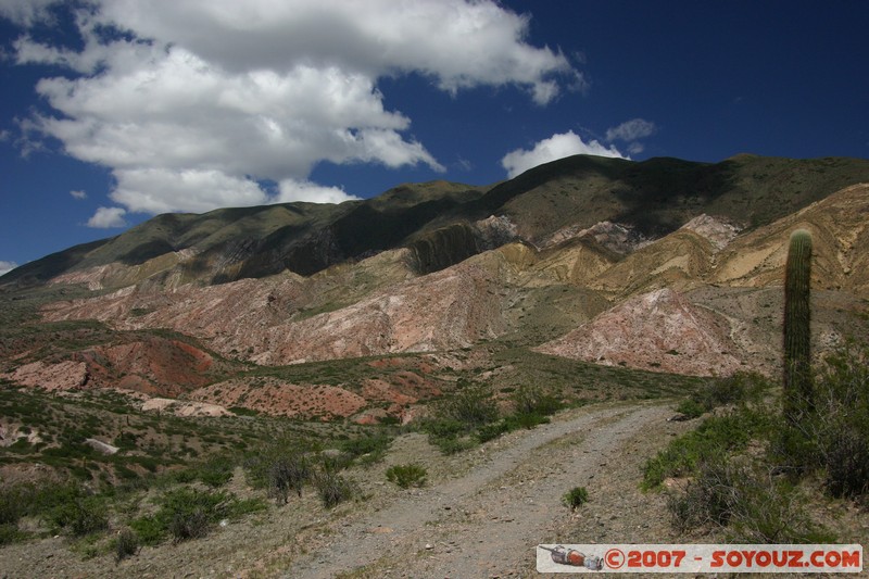 Ruta 33 - Parque National Los Cardones
