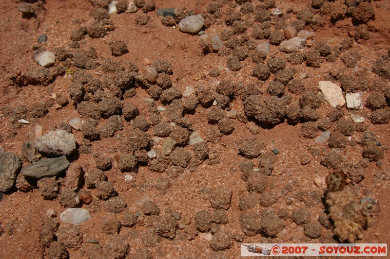 Quebrada de las Conchas
