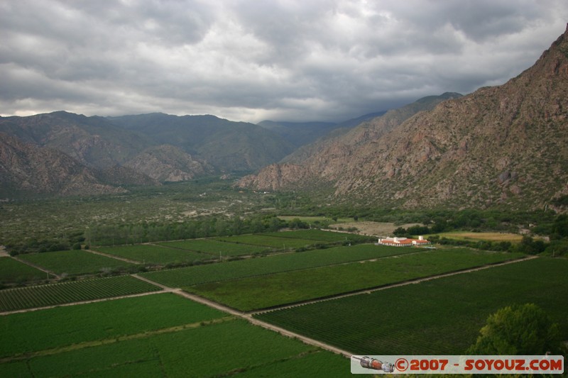 Cafayate - depuis le mirador Cerro Santa Teresita - vignes
