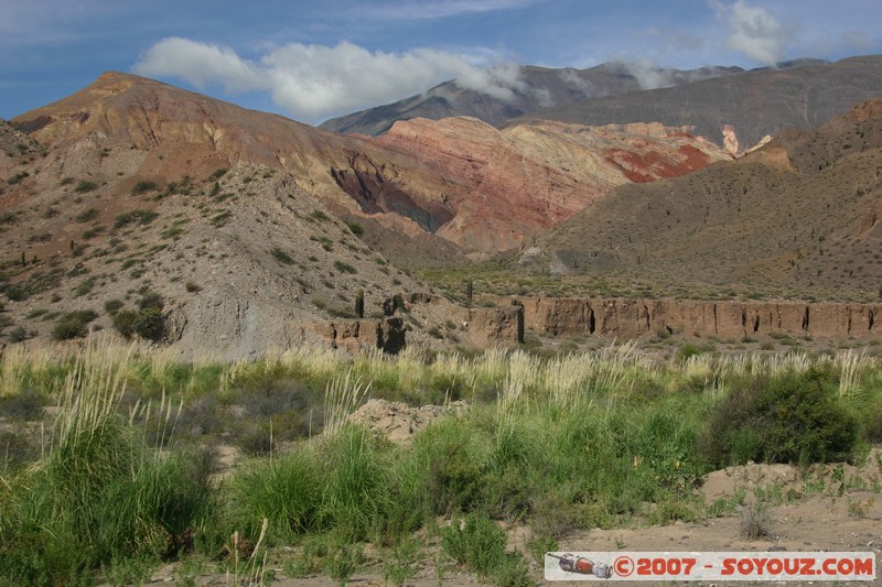 Ruta 51 - Quebrada del Toro
