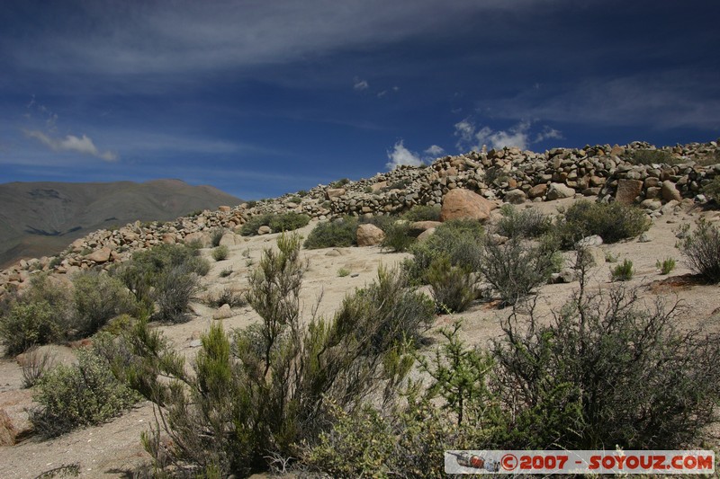 Santa Rosa de Tastil - ruines pré-Inca
