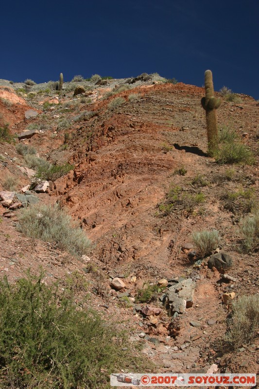 Purmamarca - Paseo de Los Colorados
