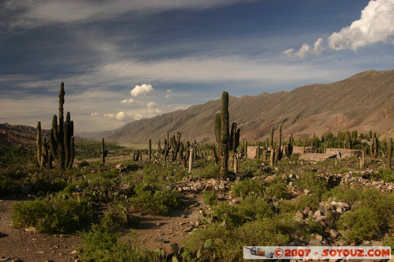 Pucara de Tilcara - Sector del Monumento
Mots-clés: Ruines Ruines pre-inca