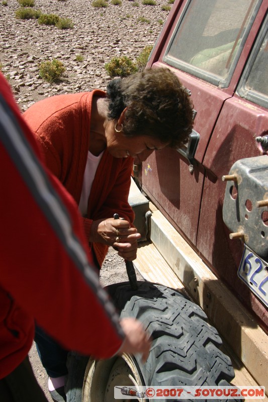 Pampa Lagunillas - crevaison
