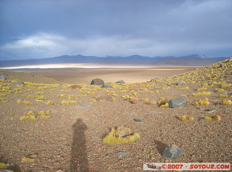 la plaine de la Laguna Colorada
