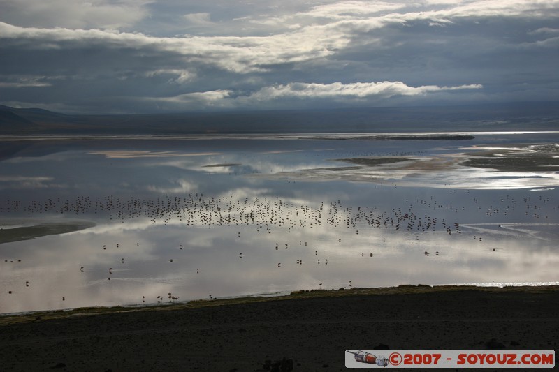 Laguna Colorada
