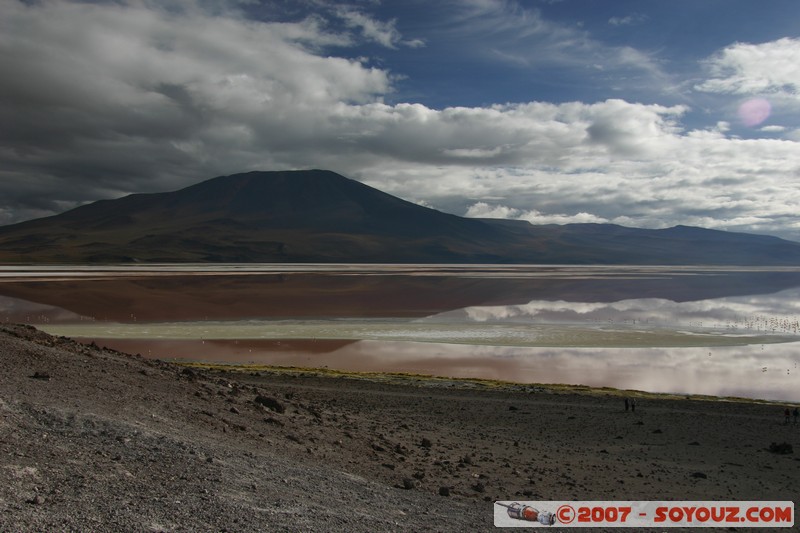 Laguna Colorada et volcan Jorcada
