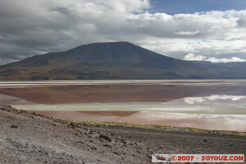 Laguna Colorada et volcan Jorcada
