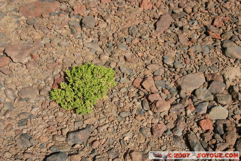 Frontière Bolivie - Chili
