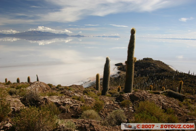 Isla Pescado (or Incahuasi)
