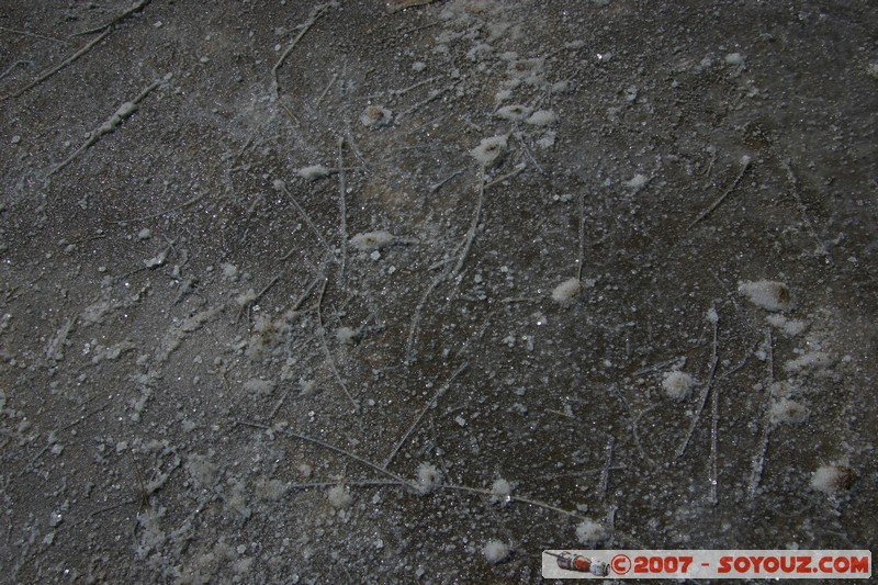 Isla Pescado (or Incahuasi) - cristaux de sel
