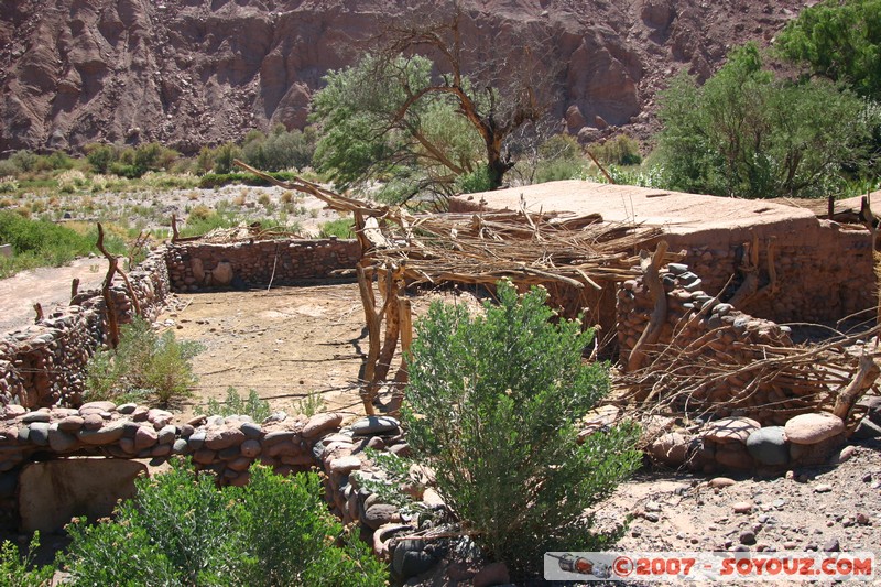 plaine du Rio Puritama
