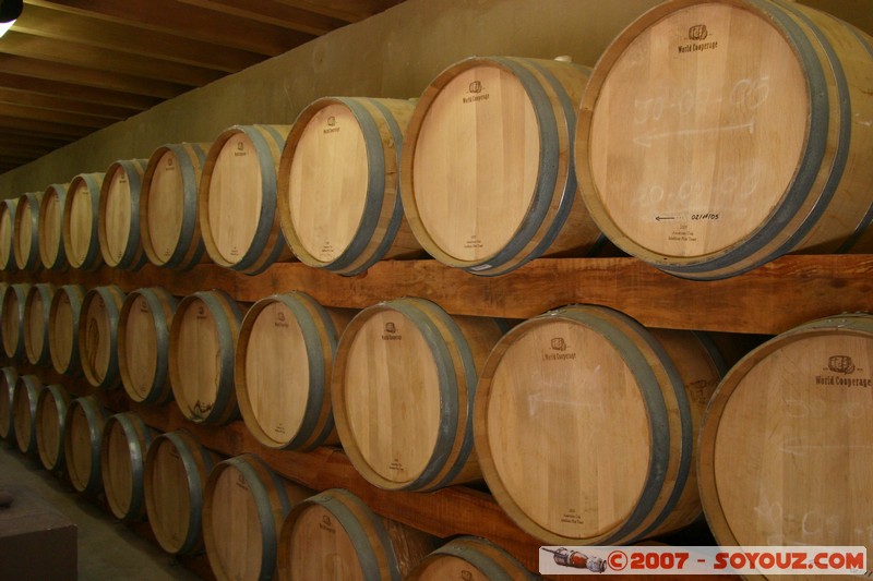 Bodega Ruta Norte

