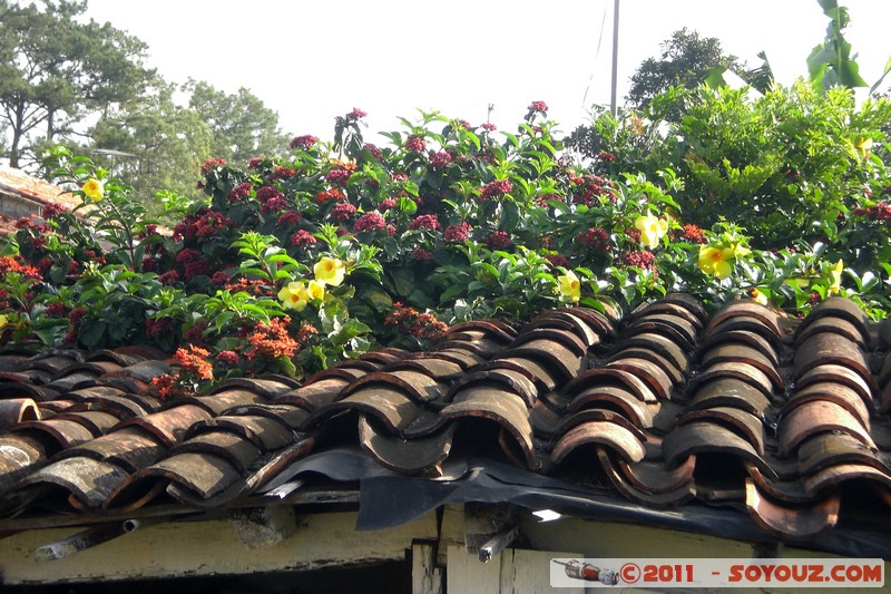 Vinales - Casa Elida y Luis Luis
Mots-clés: CUB Cuba geo:lat=22.61322351 geo:lon=-83.71254802 geotagged Pinar del R&Atilde;�&Acirc;&shy;o Vega